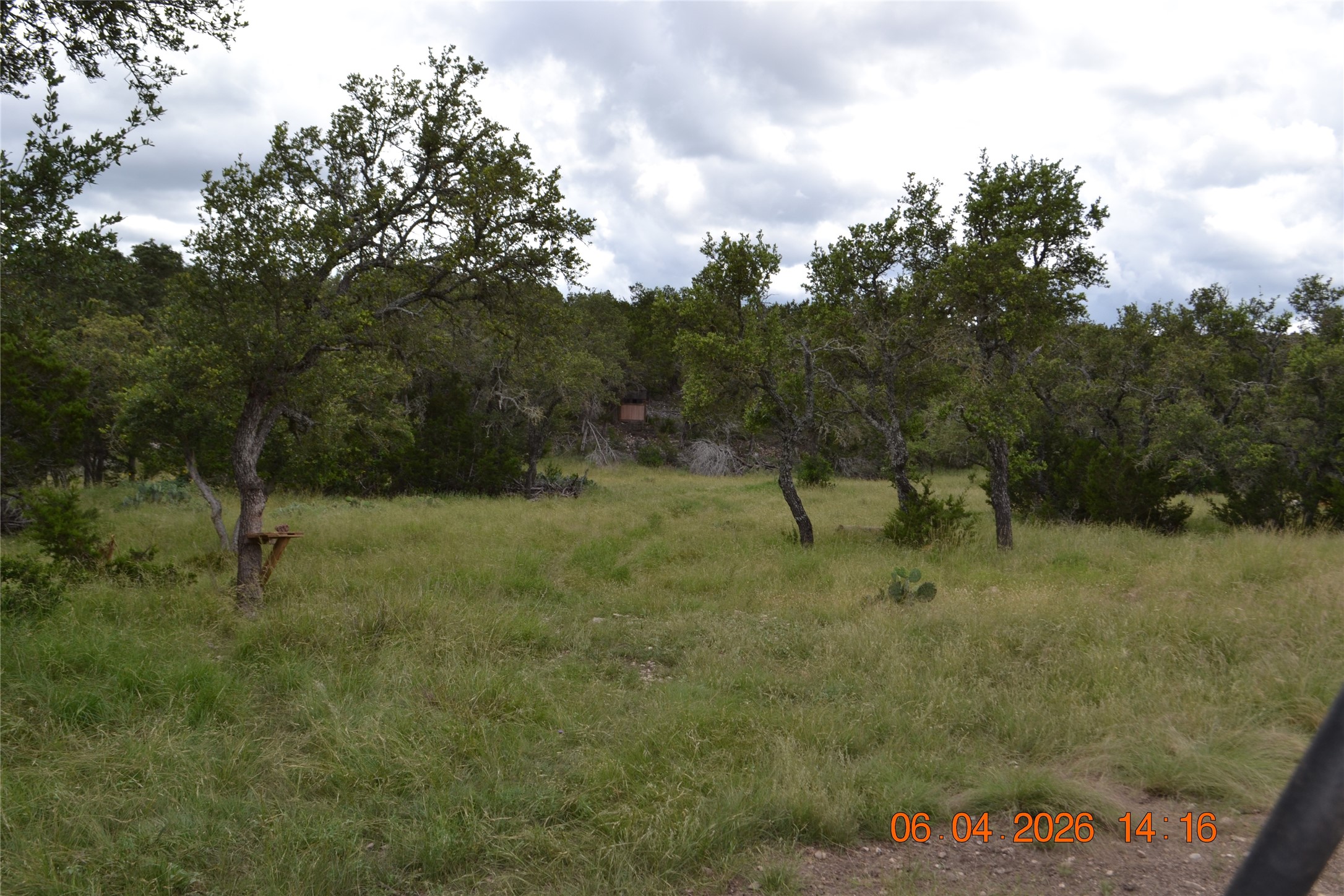 211 Ringtail Road Northwest Junction, TX 76849 - Photo 21 of 24 a view of a dry yard with trees