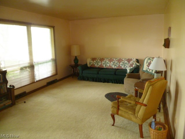 353 East Howe Road Kent, OH 44240 - Photo 4 of 12