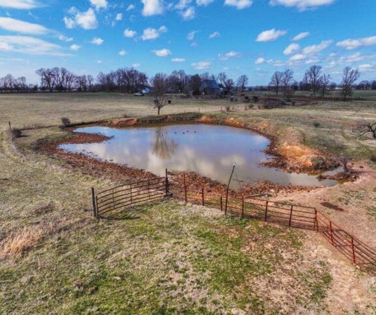 Pond