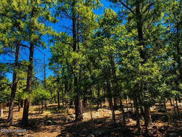 $249,000 | 731 Pine Creek Drive, Lakeside, AZ 85929