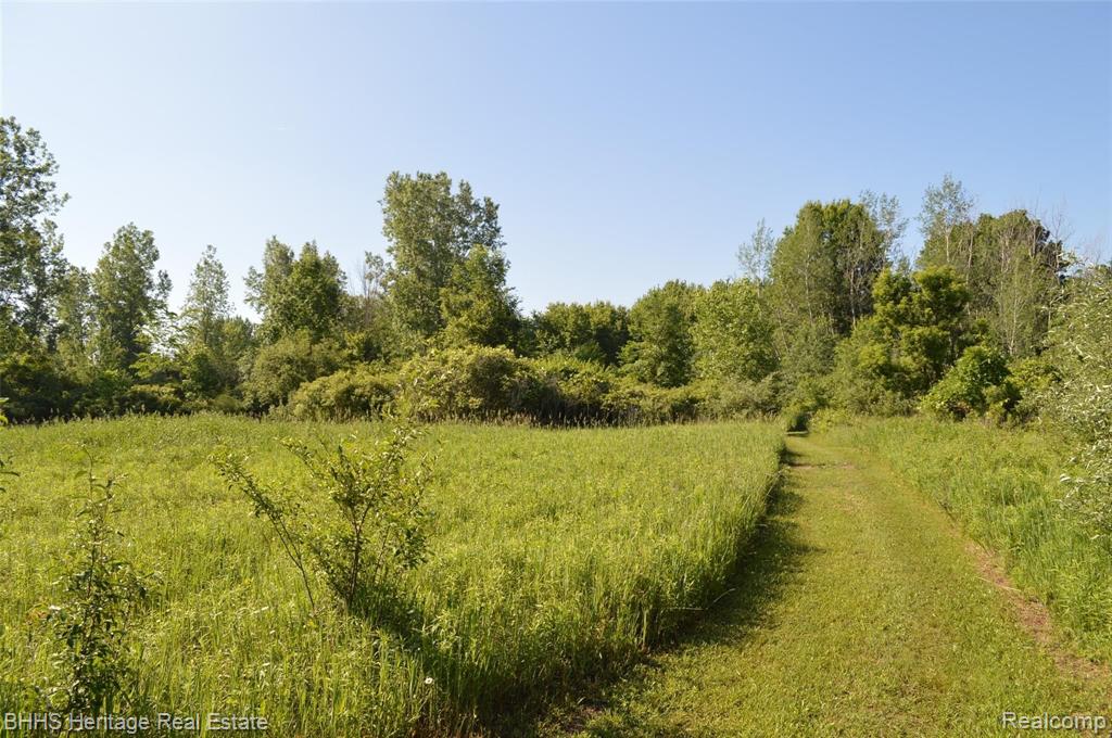 Vl North Nicholson Road Fowlerville, MI 48836 - Photo 6 of 7