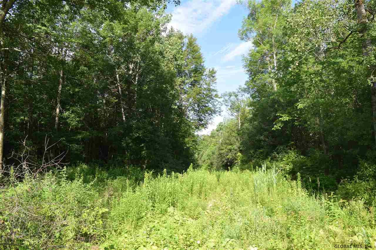 121 White Road Milton, NY 12020 - Photo 1 of 9 Photo 1