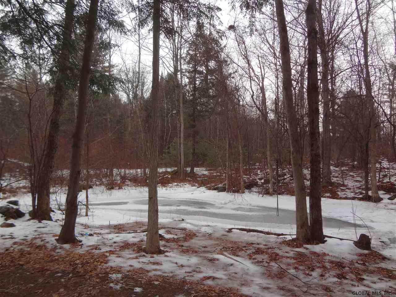 121 White Road Milton, NY 12020 - Photo 7 of 9 Photo 7