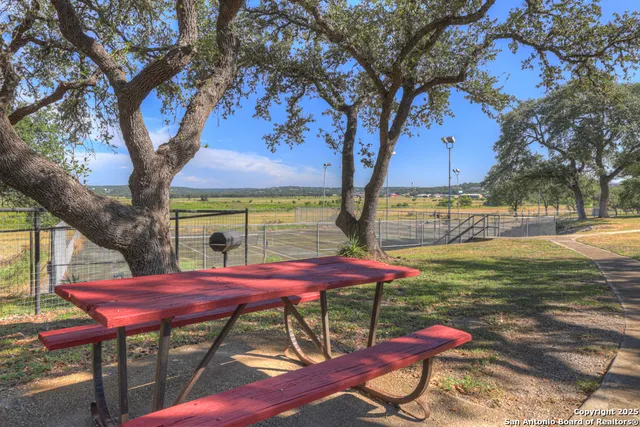 a view of a backyard with large trees