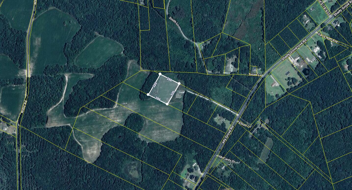 0 Shady Grove Road St. George, SC 29477 - Photo 3 of 44 Aerial View