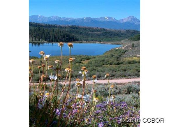 81 Cottontail Road Leadville, CO 80461 - Photo 1 of 1 Gallery Image 1