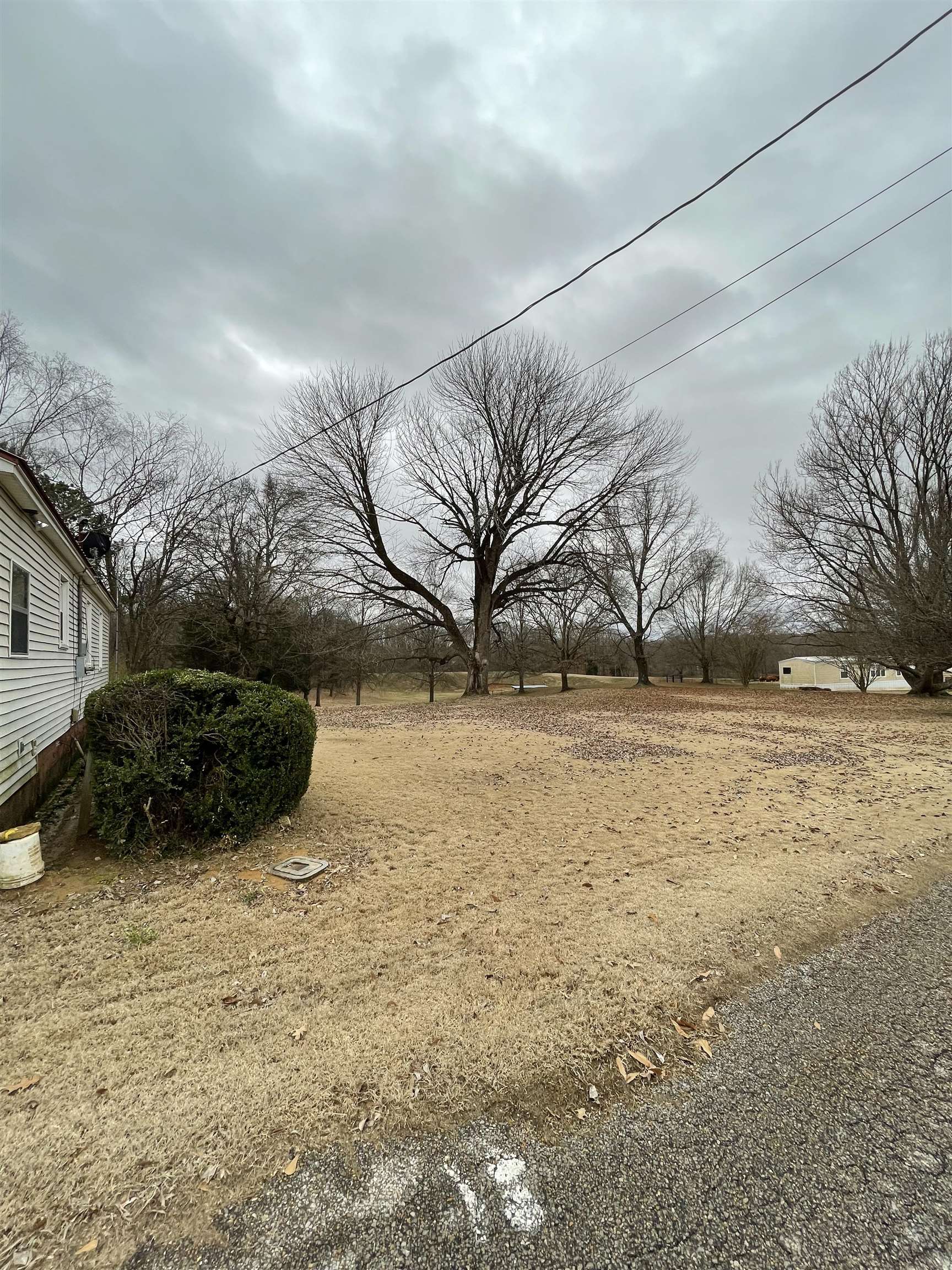 617 Bringle Road Covington, TN 38019 - Photo 4 of 14 Gallery Image 4