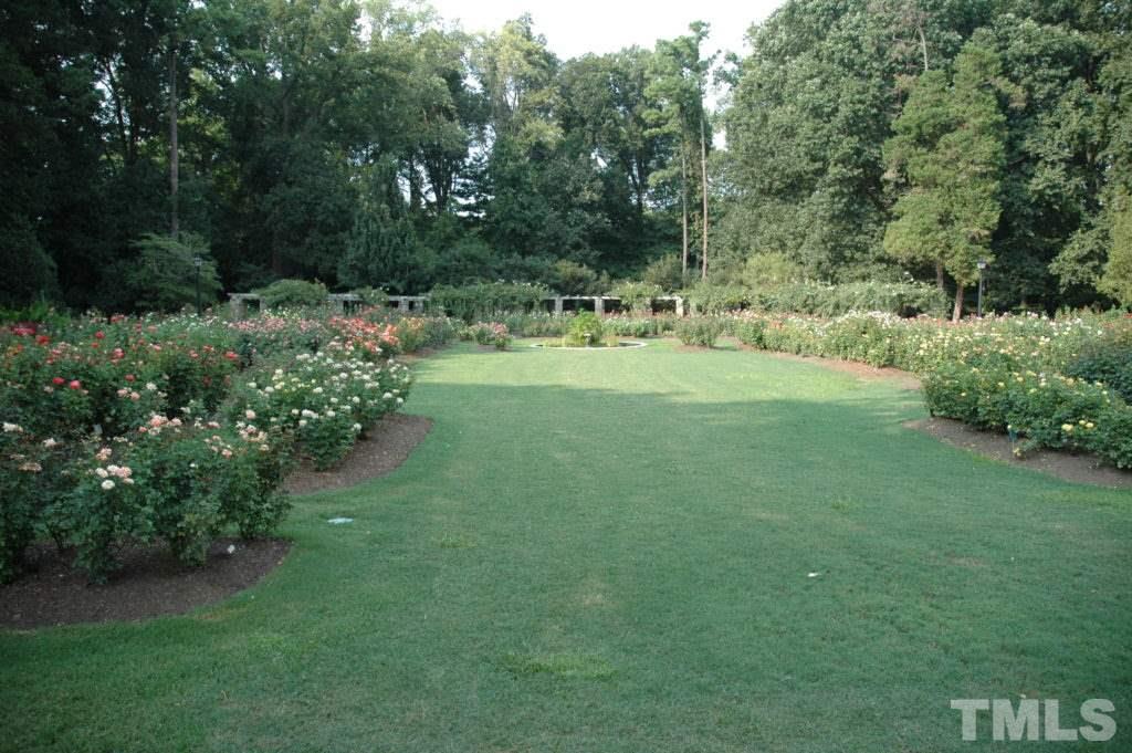2703 Clark Avenue Raleigh, NC 27607 - Photo 24 of 24 a view of an outdoor space and a yard