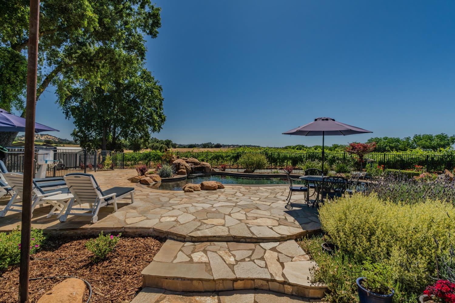 10786 Shenandoah Road Plymouth, CA 95669 - Photo 65 of 99 a view of a swimming pool and lounge chairs