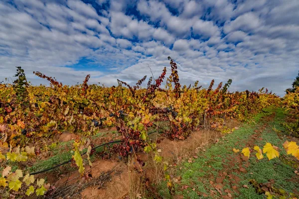 $3,895,000 | 10786 Shenandoah Road, Plymouth, CA 95669