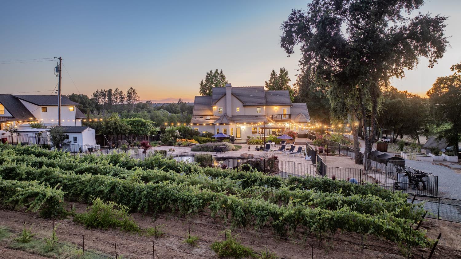 10786 Shenandoah Road Plymouth, CA 95669 - Photo 9 of 99