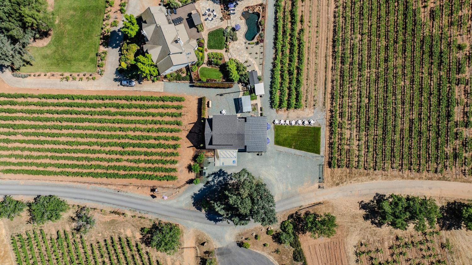 10786 Shenandoah Road Plymouth, CA 95669 - Photo 94 of 99 a picture of a street