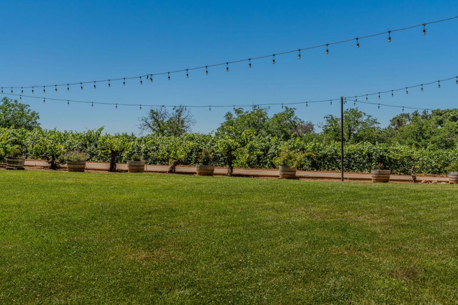 10786 Shenandoah Road Plymouth, CA 95669 - Photo 96 of 99 a view of a green field