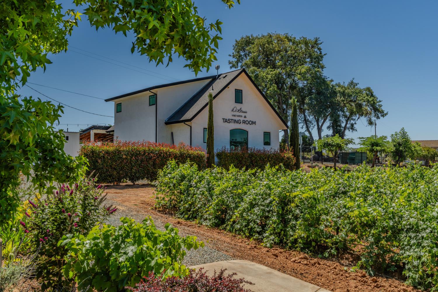 10786 Shenandoah Road Plymouth, CA 95669 - Photo 10 of 99