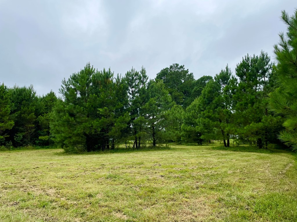 Lot 3 Green Landing Road, Unit 3 Onancock, VA 23417 - Photo 38 of 43