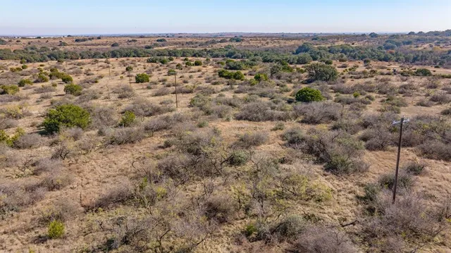 a view of a dry yard covered with trees