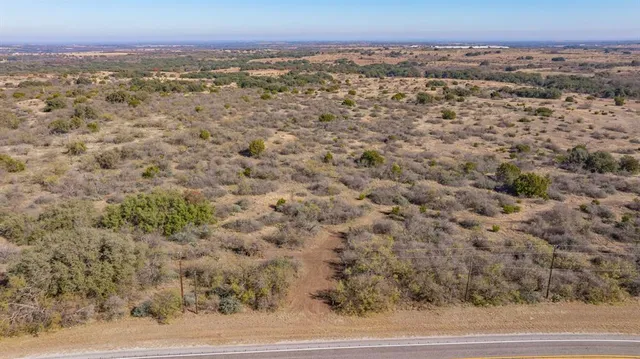 a view of a forest with a mountain