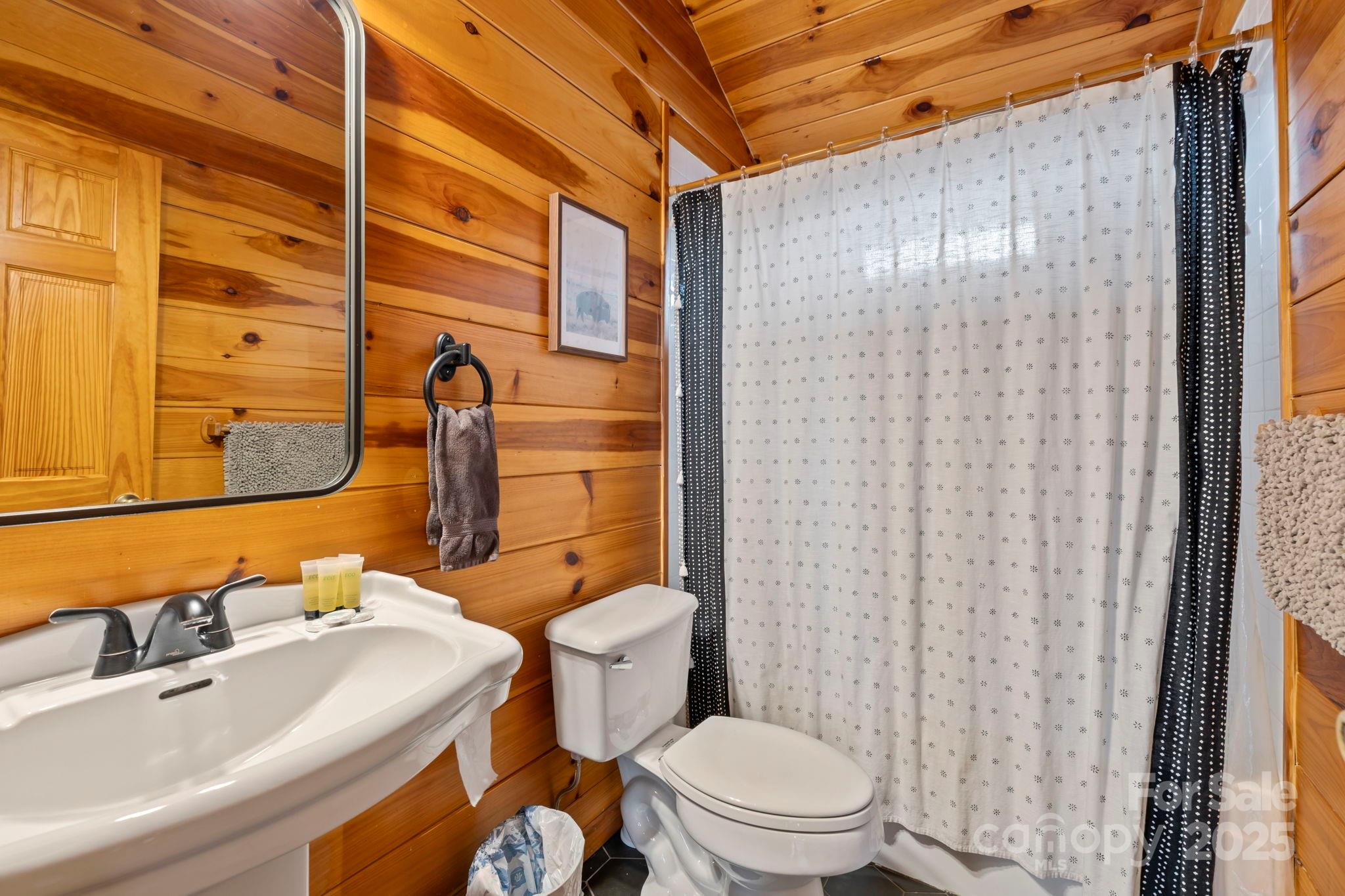 6500 Silversteen Road Lake Toxaway, NC 28747 - Photo 20 of 38