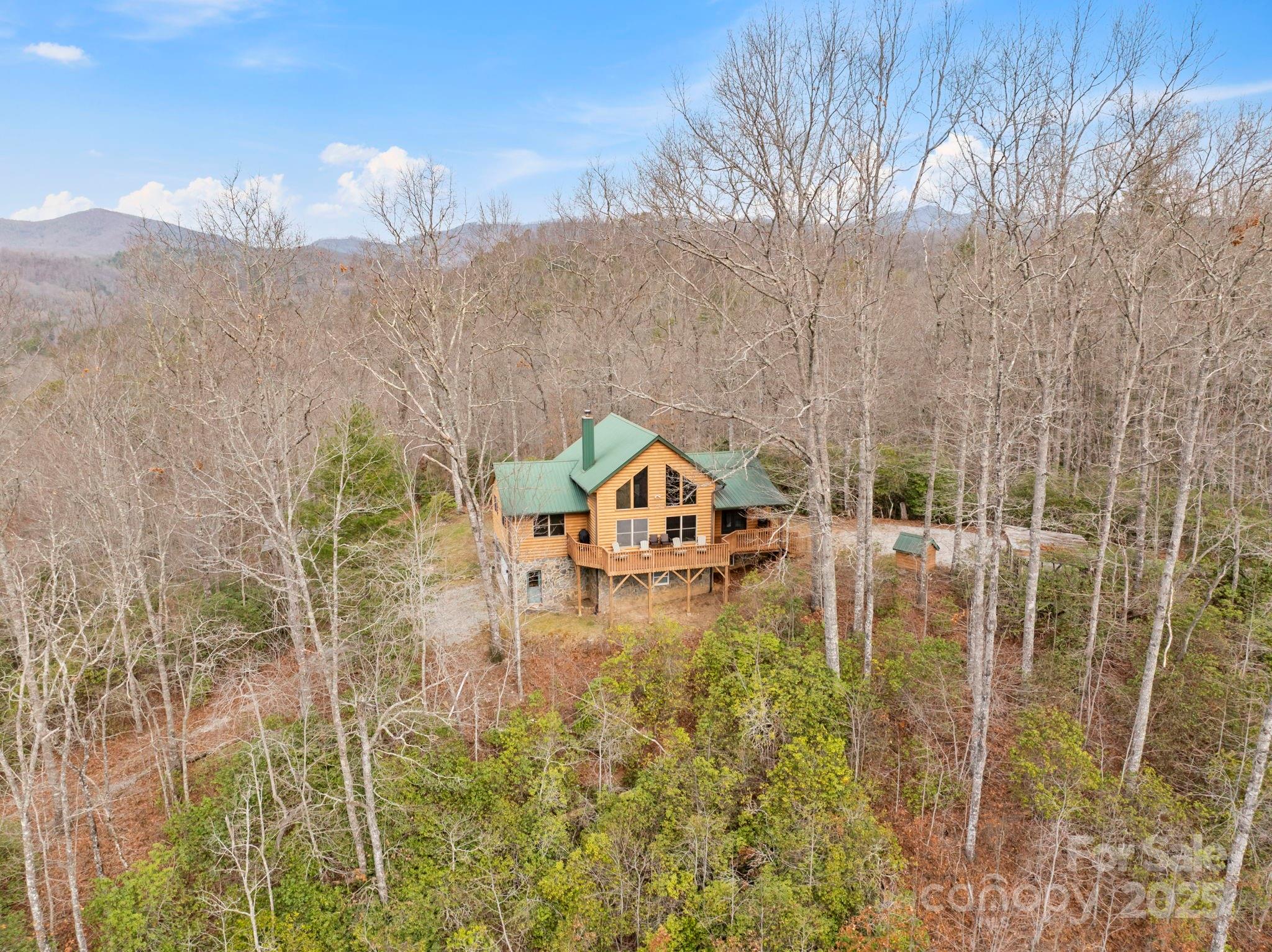 6500 Silversteen Road Lake Toxaway, NC 28747 - Photo 34 of 38
