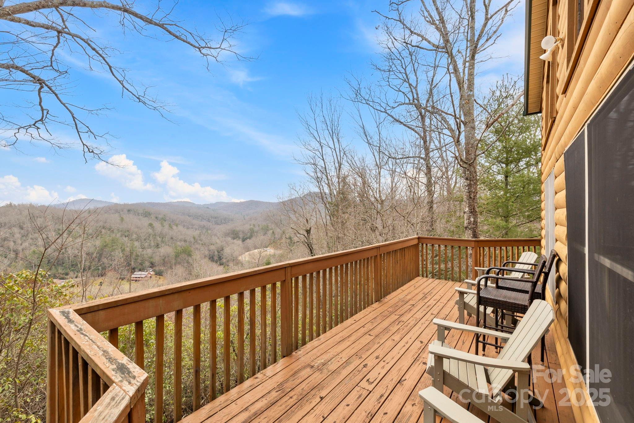 6500 Silversteen Road Lake Toxaway, NC 28747 - Photo 4 of 38