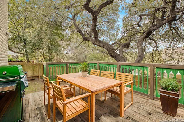 a view of a backyard with a large tree
