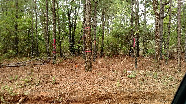 665 Windsor Road Windsor, SC 29856 - Photo 10 of 11
