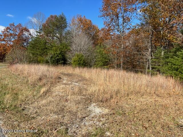 0 Tara Road Cub Run, KY 42729 - Photo 4 of 7 IMG_8541