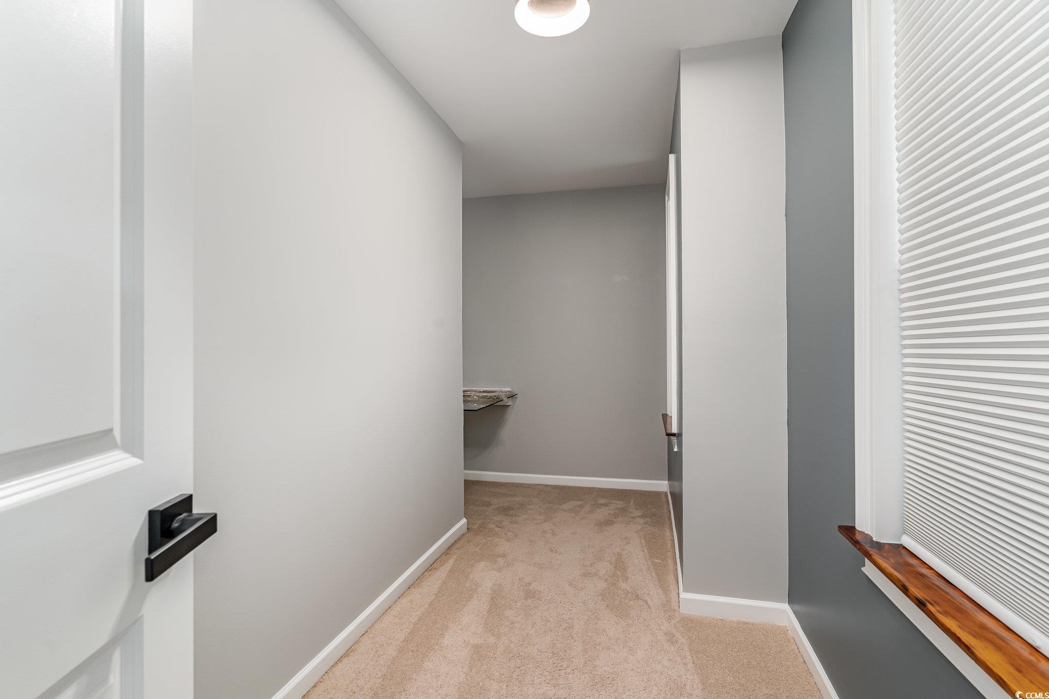 113 Winding Path Drive Loris, SC 29569 - Photo 24 of 36 Spacious closet with light colored carpet