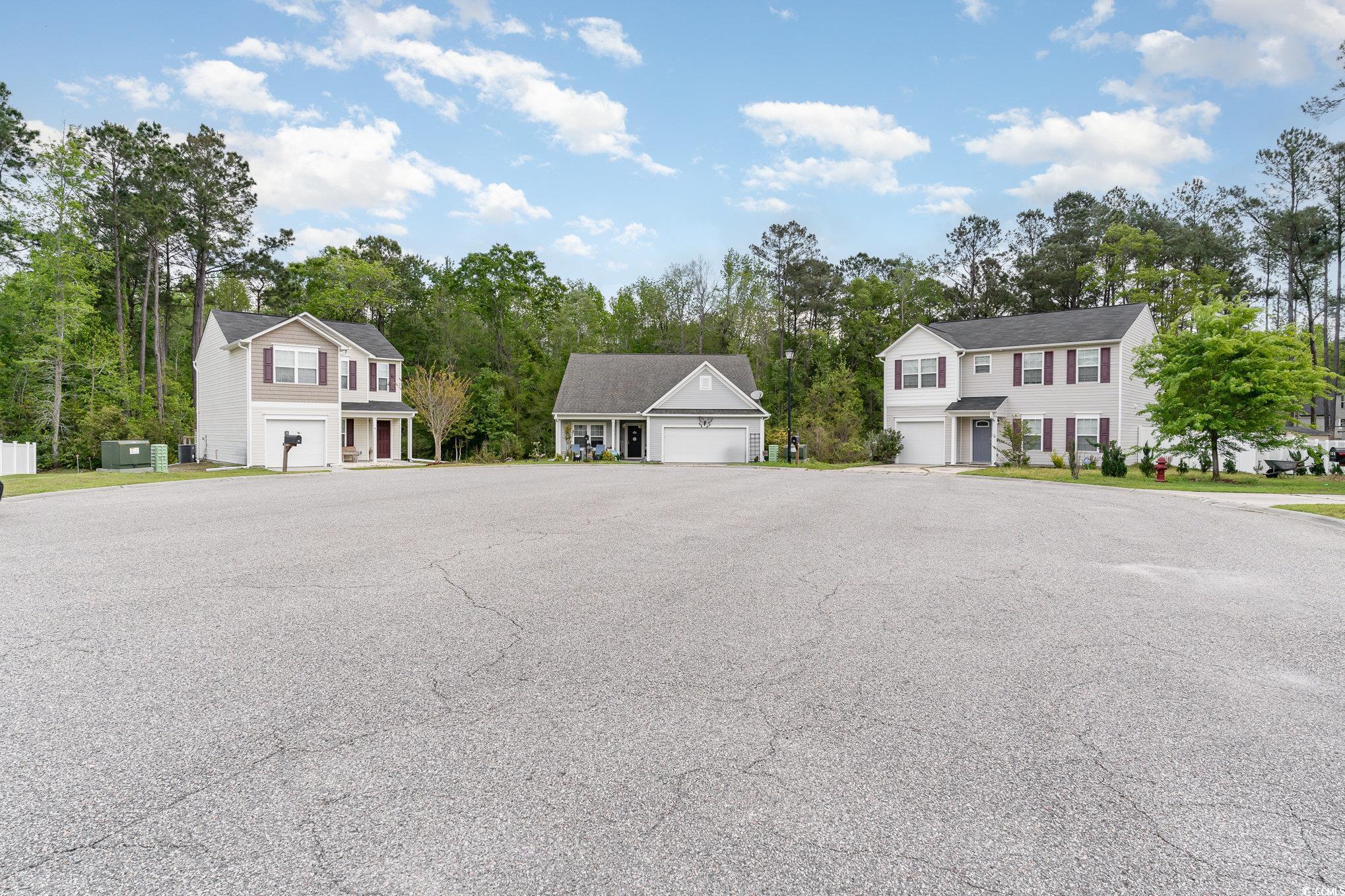 113 Winding Path Drive Loris, SC 29569 - Photo 36 of 36 View of street with a residential view