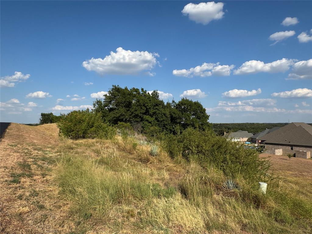 7901 Rohne Court Granbury, TX 76049 - Photo 4 of 20 Gallery Image 4