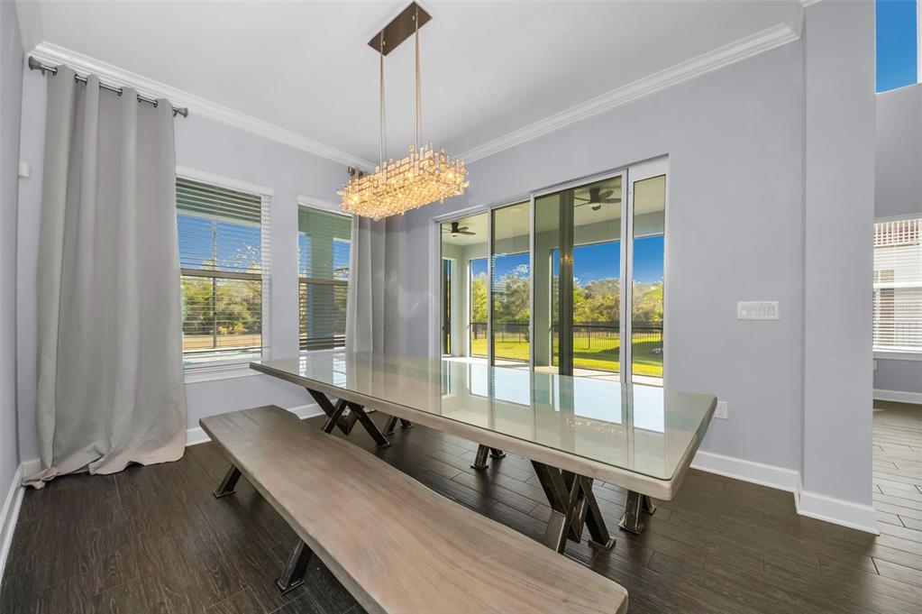 723 Cajeput Loop Tarpon Springs, FL 34689 - Photo 19 of 75