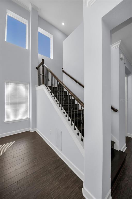 723 Cajeput Loop Tarpon Springs, FL 34689 - Photo 38 of 75