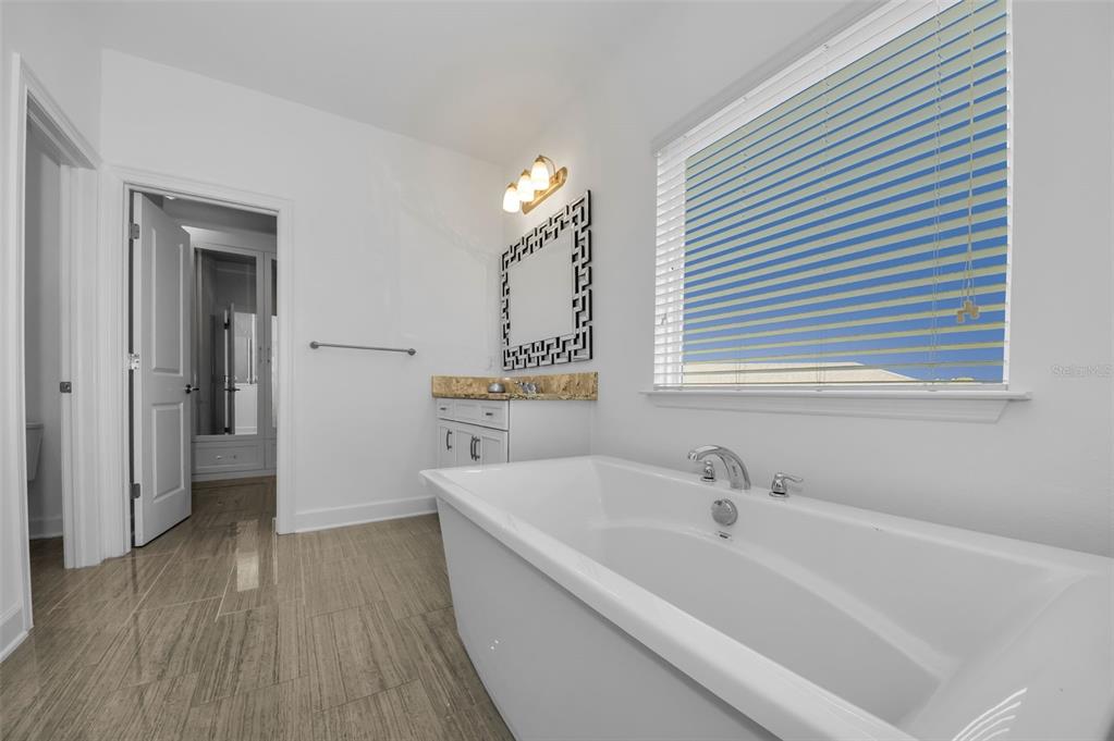 723 Cajeput Loop Tarpon Springs, FL 34689 - Photo 46 of 75