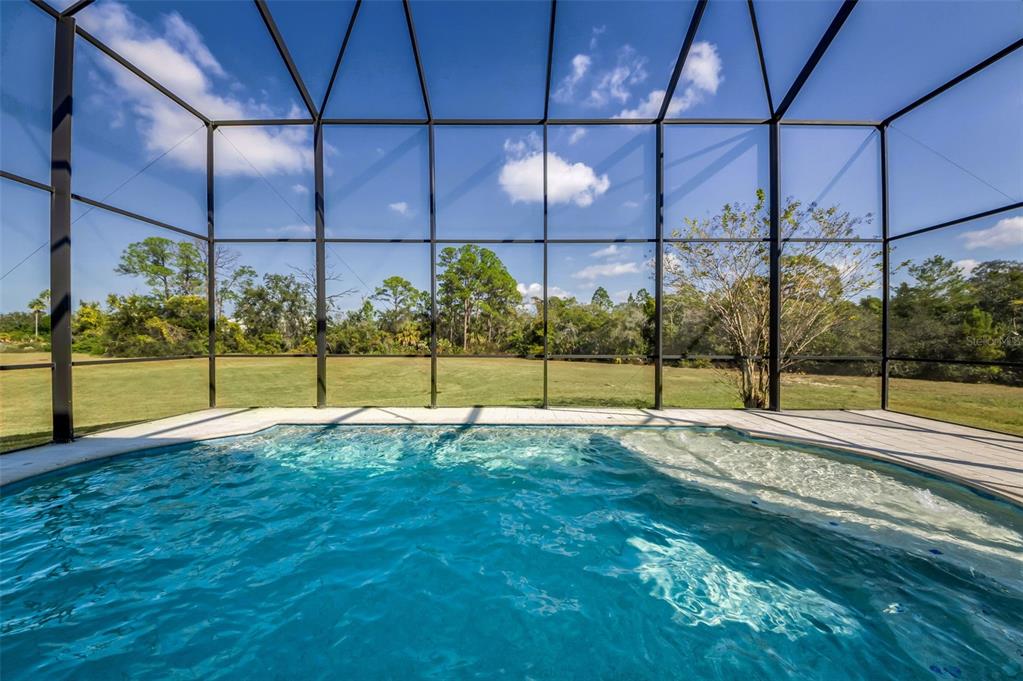 723 Cajeput Loop Tarpon Springs, FL 34689 - Photo 67 of 75