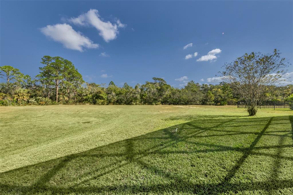 723 Cajeput Loop Tarpon Springs, FL 34689 - Photo 69 of 75