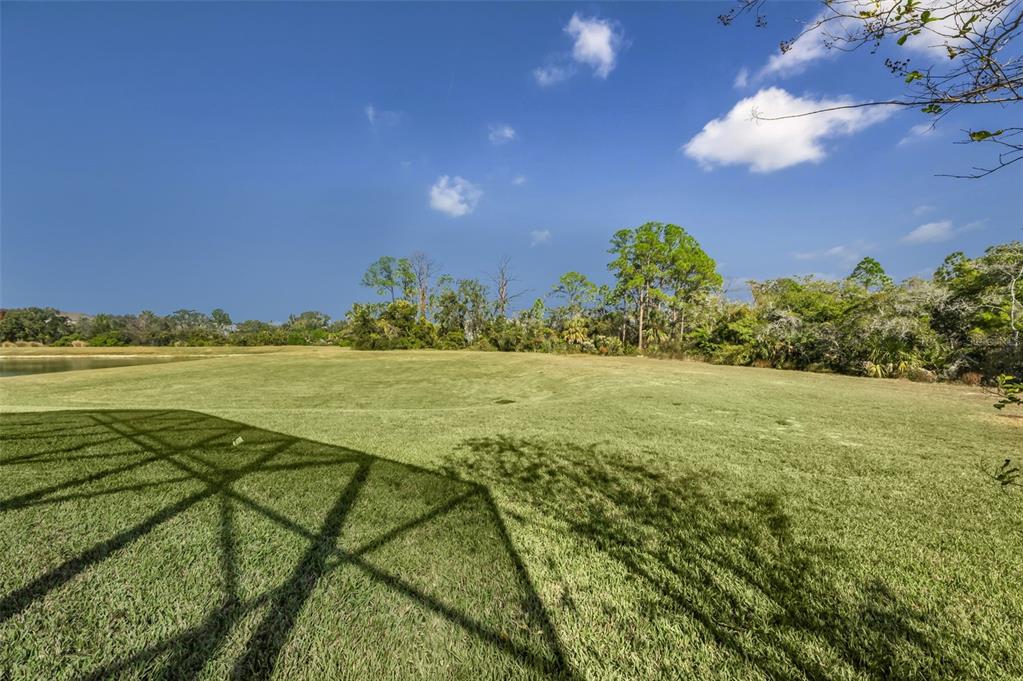 723 Cajeput Loop Tarpon Springs, FL 34689 - Photo 70 of 75