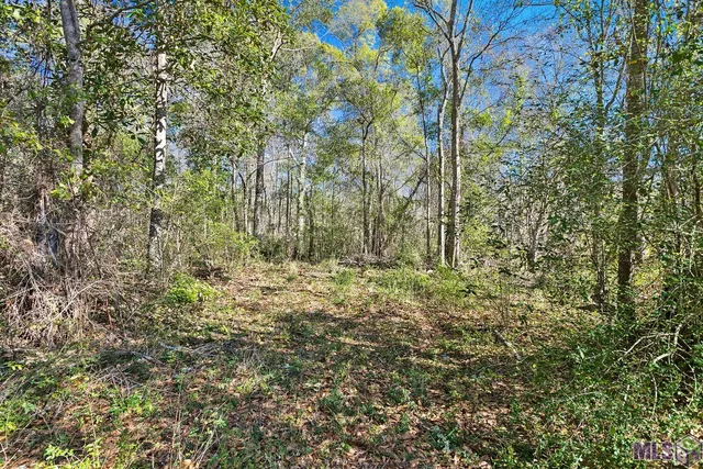 $185,000 | Undisclosed Address, Pearl River, LA 70452