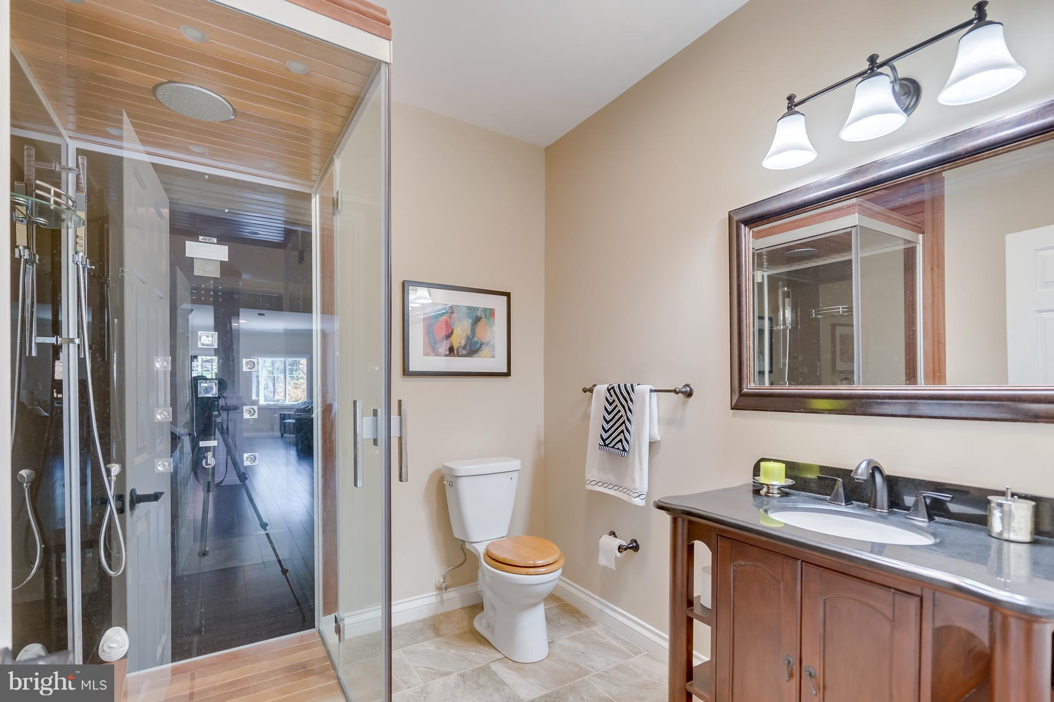 1415 Julia Avenue McLean, VA 22101 - Photo 11 of 30 a bathroom with a granite countertop toilet sink and a mirror
