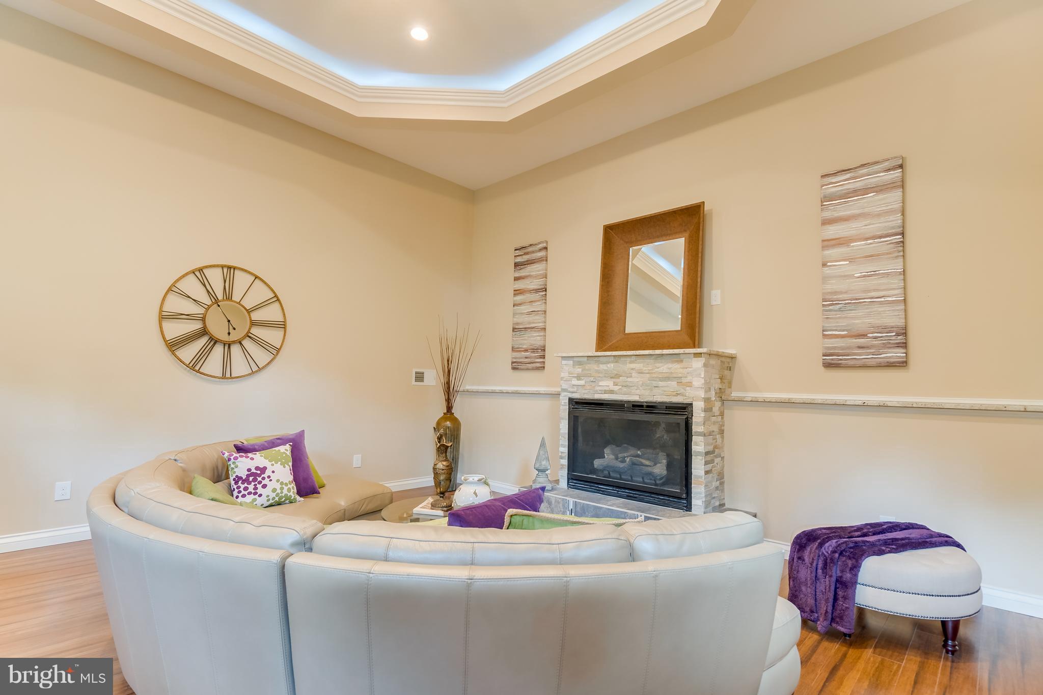 1415 Julia Avenue McLean, VA 22101 - Photo 8 of 30 a living room with furniture and a fireplace