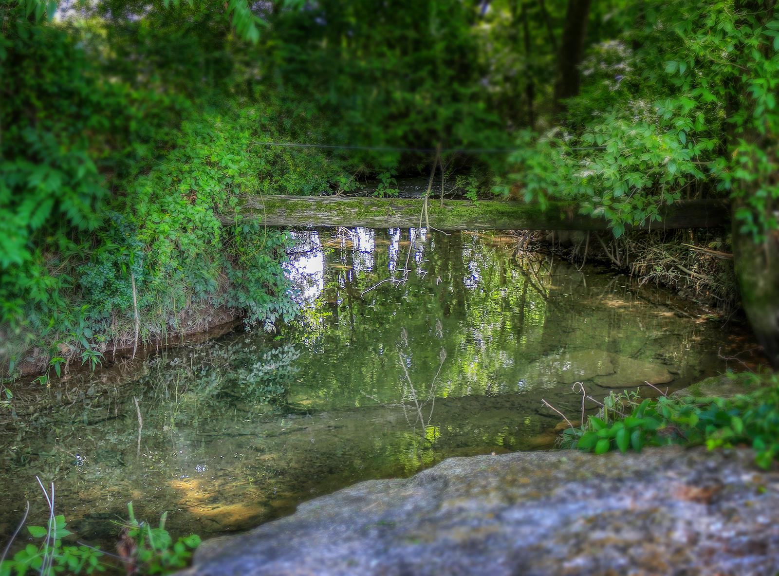 444 Canaan Road Columbia, TN 38401 - Photo 9 of 30 Heres the swimming hole!