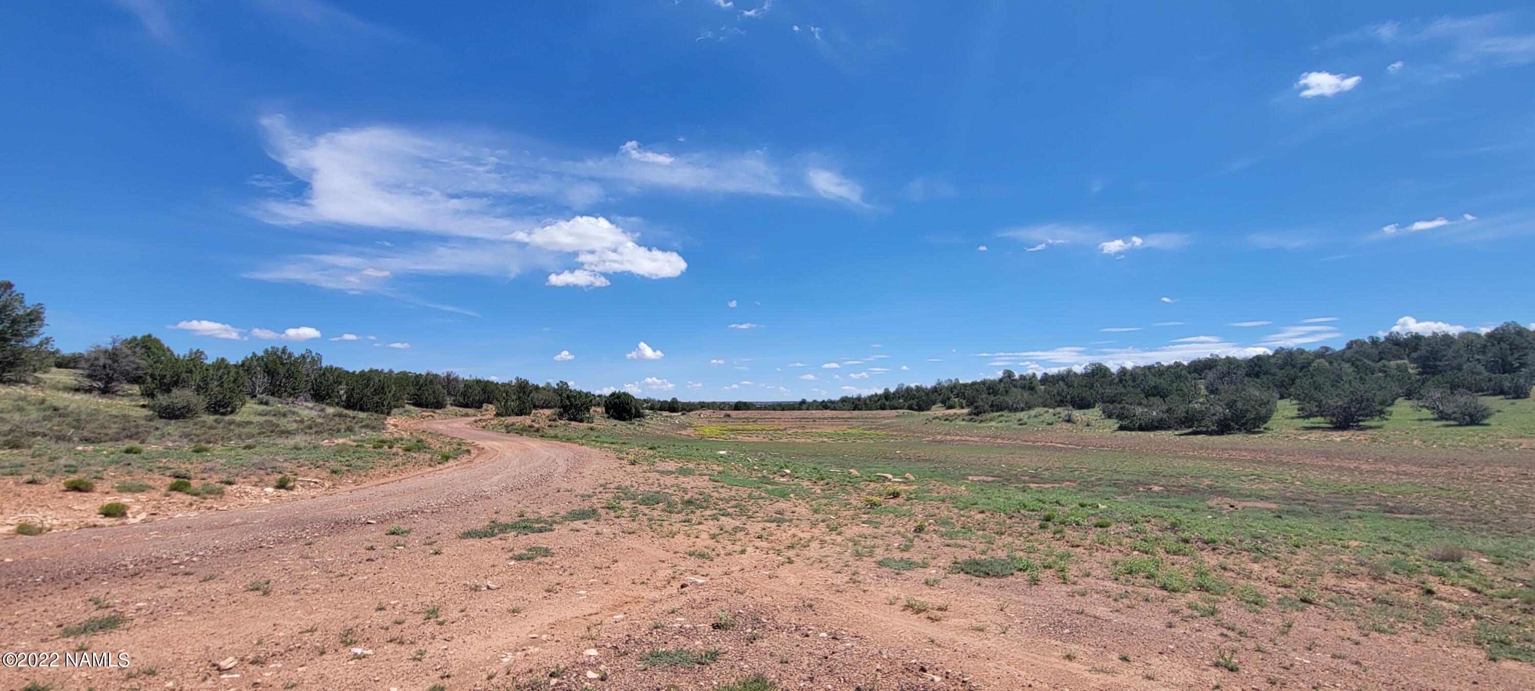 8298 West Red Bluff Road Williams, AZ 86046 - Photo 23 of 23 20220806_113131