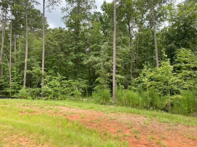 346 Walton Mill Road Appling, GA 30802 - Photo 3 of 6