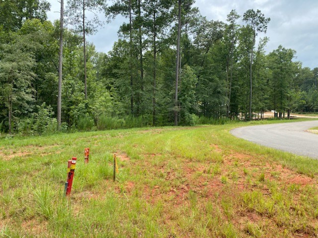 346 Walton Mill Road Appling, GA 30802 - Photo 4 of 6