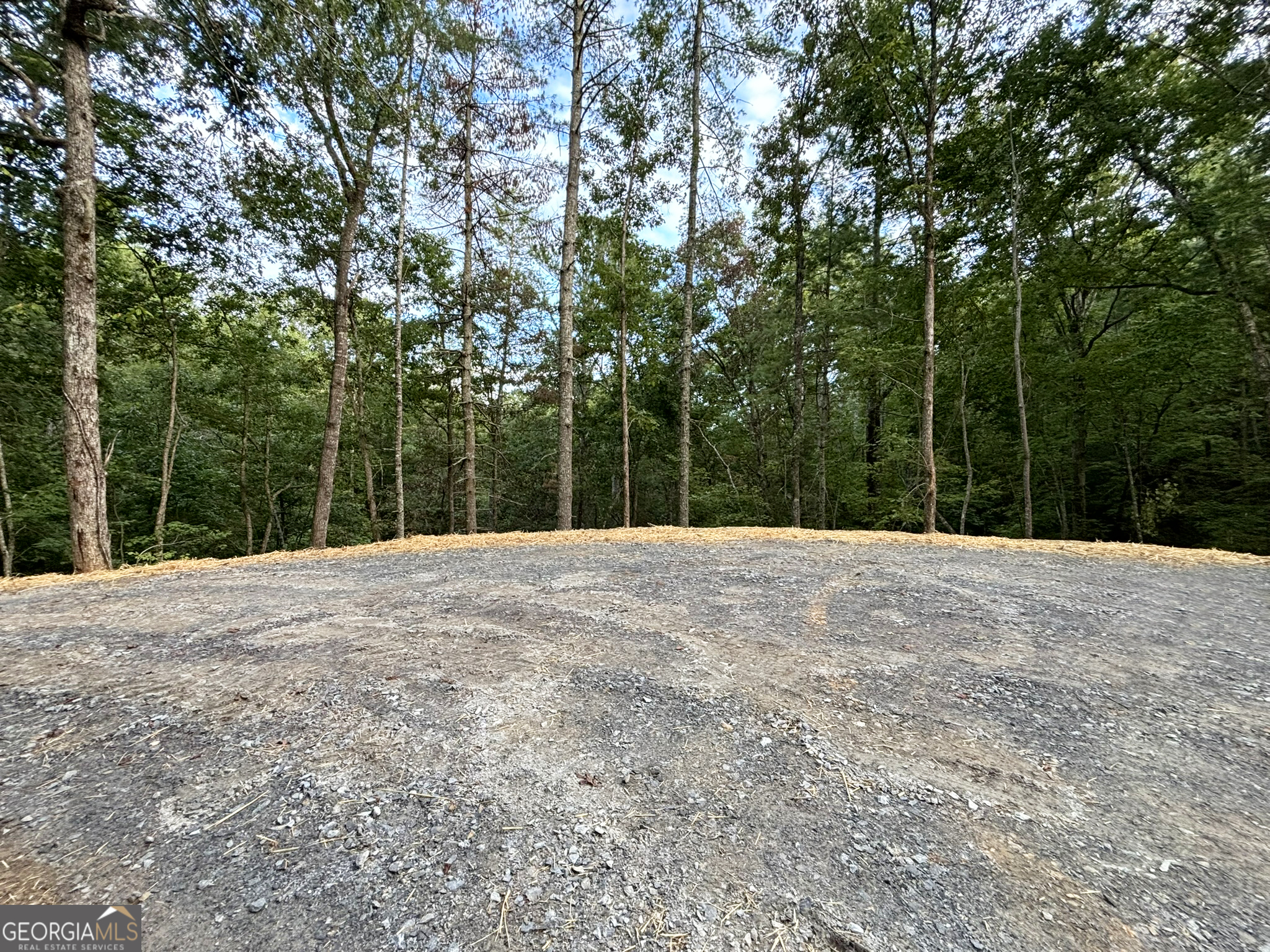 396 Mt Springer Road Ellijay, GA 30540 - Photo 33 of 50