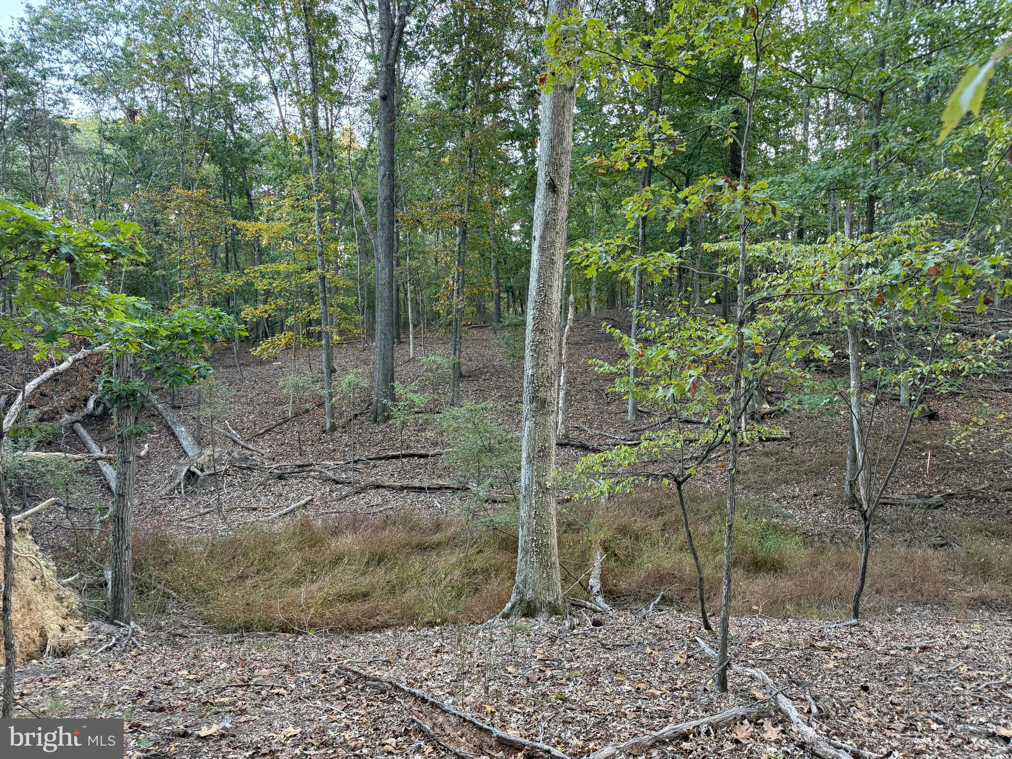 Fairview Drive Berkeley Springs, WV 25411 - Photo 11 of 22