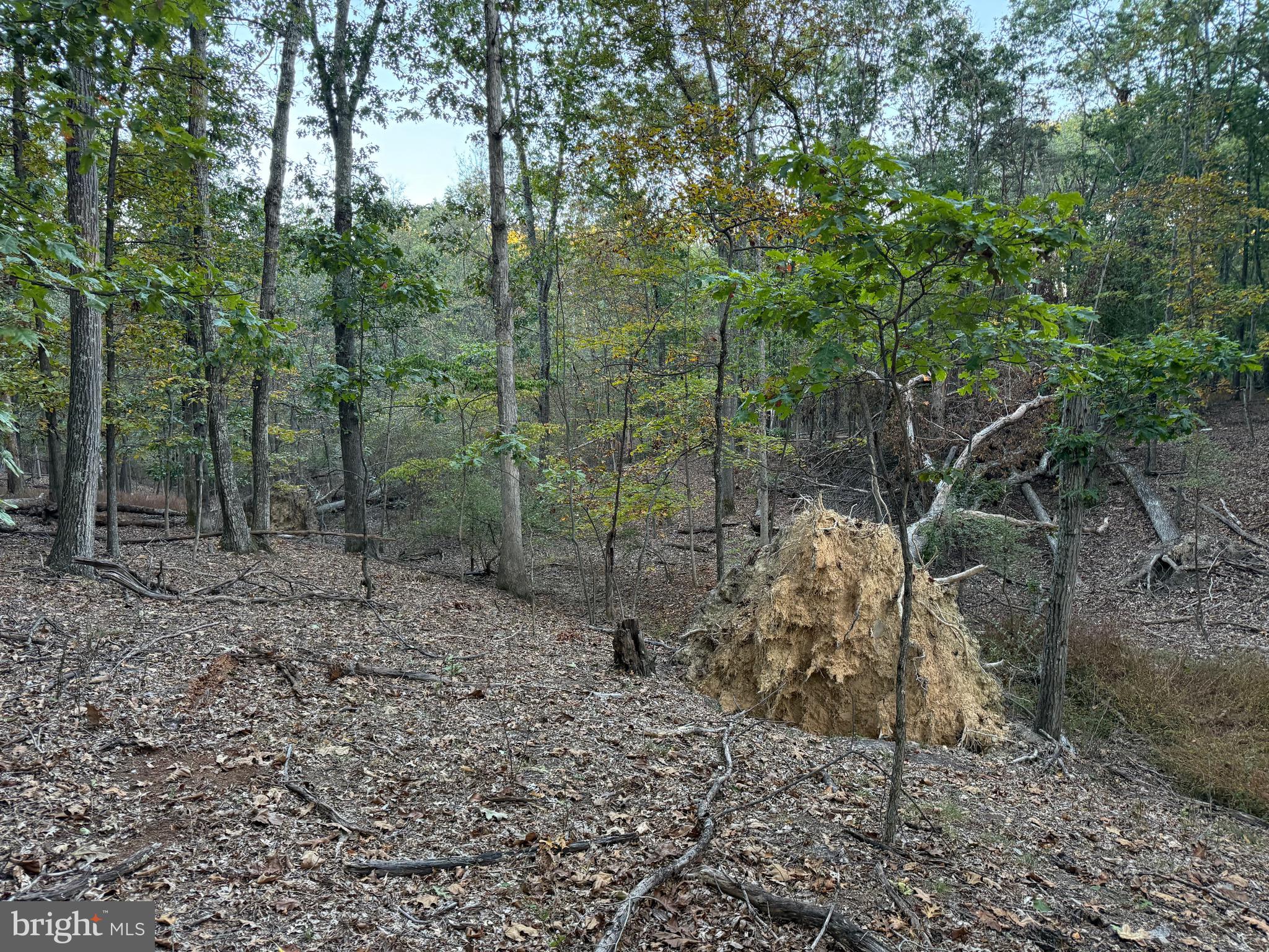 Fairview Drive Berkeley Springs, WV 25411 - Photo 12 of 22