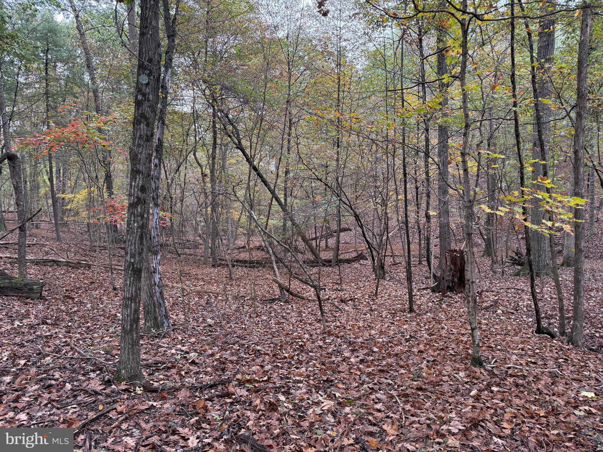 Fairview Drive Berkeley Springs, WV 25411 - Photo 14 of 22