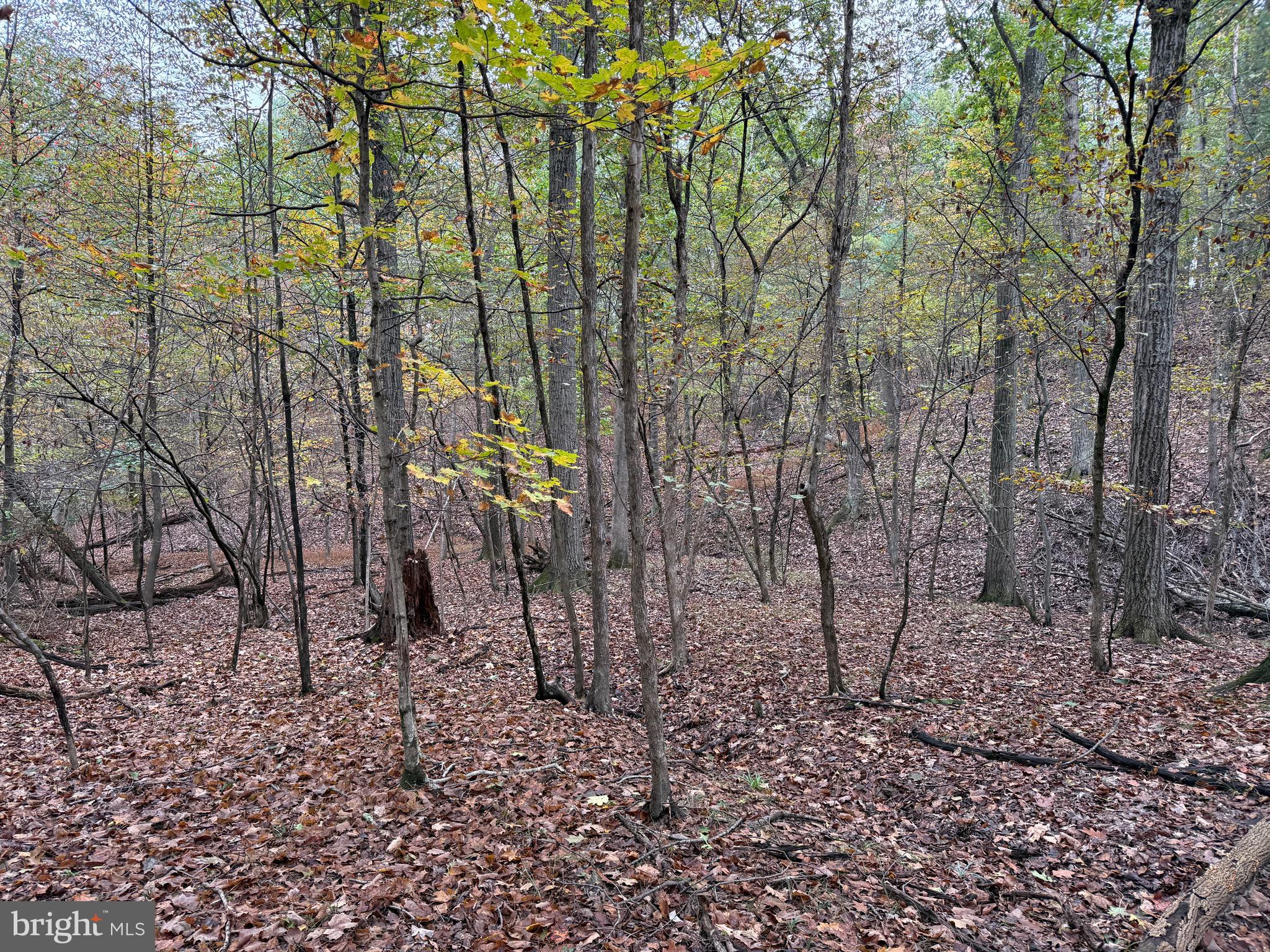 Fairview Drive Berkeley Springs, WV 25411 - Photo 15 of 22