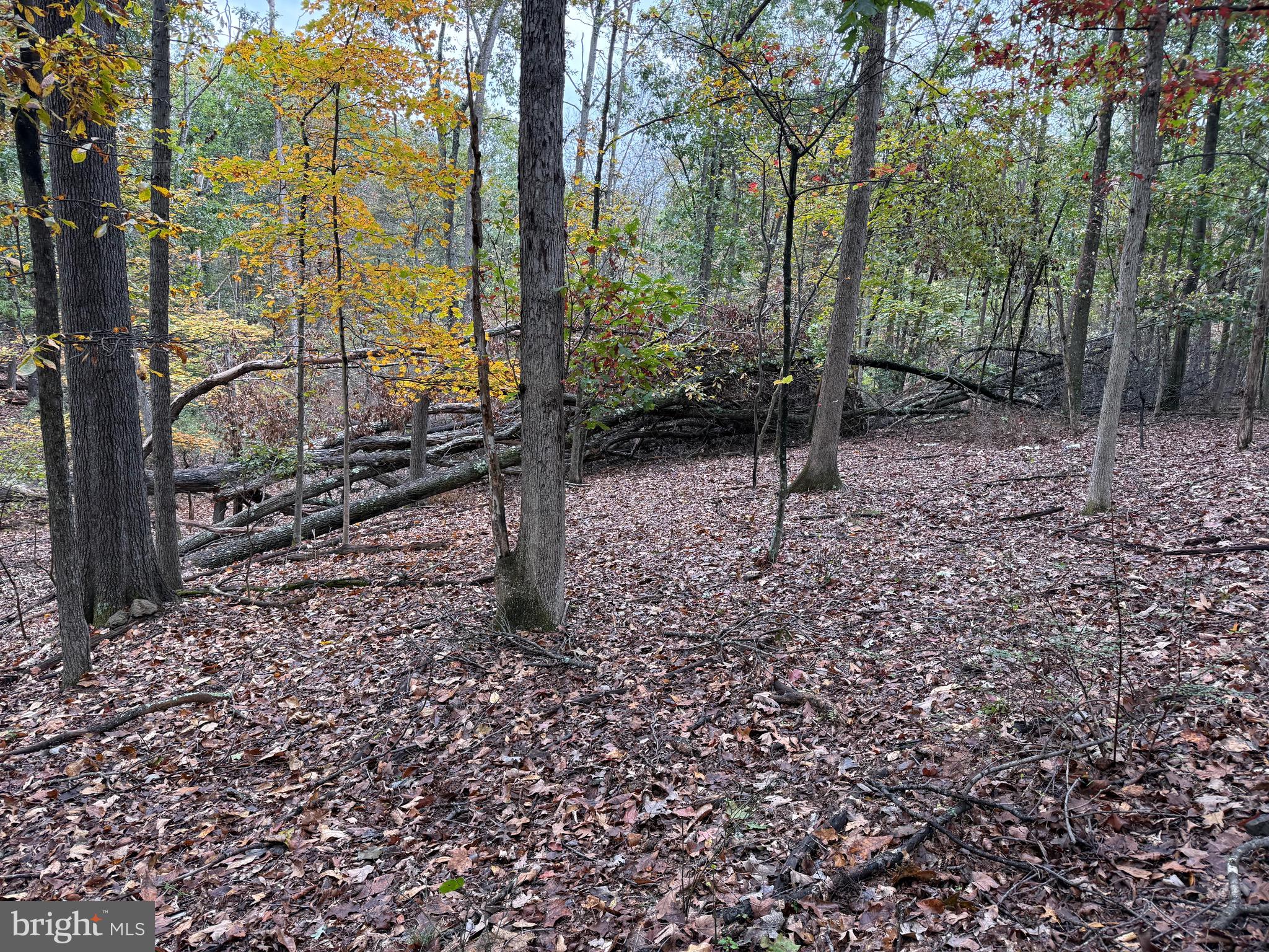 Fairview Drive Berkeley Springs, WV 25411 - Photo 16 of 22