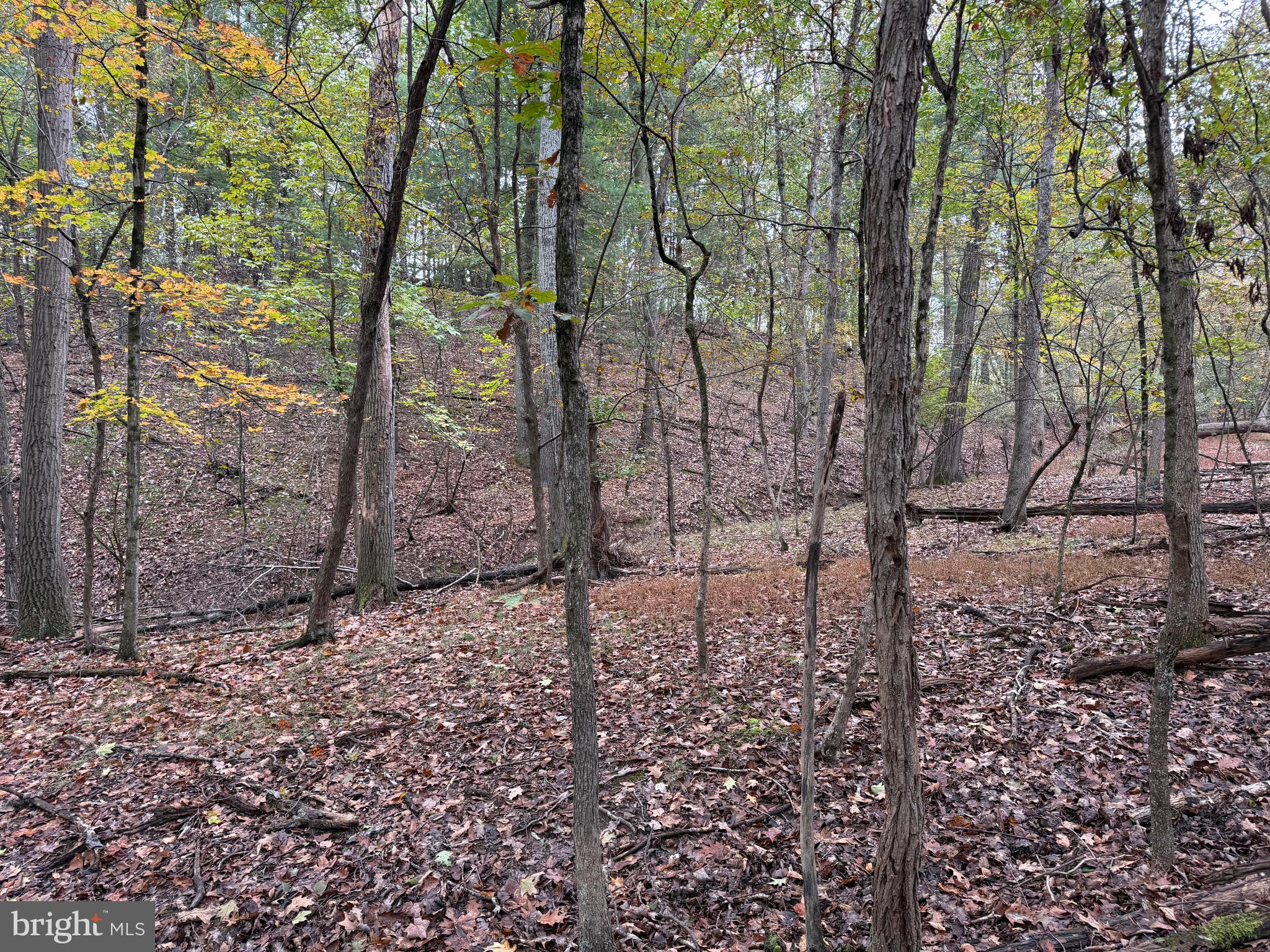 Fairview Drive Berkeley Springs, WV 25411 - Photo 17 of 22